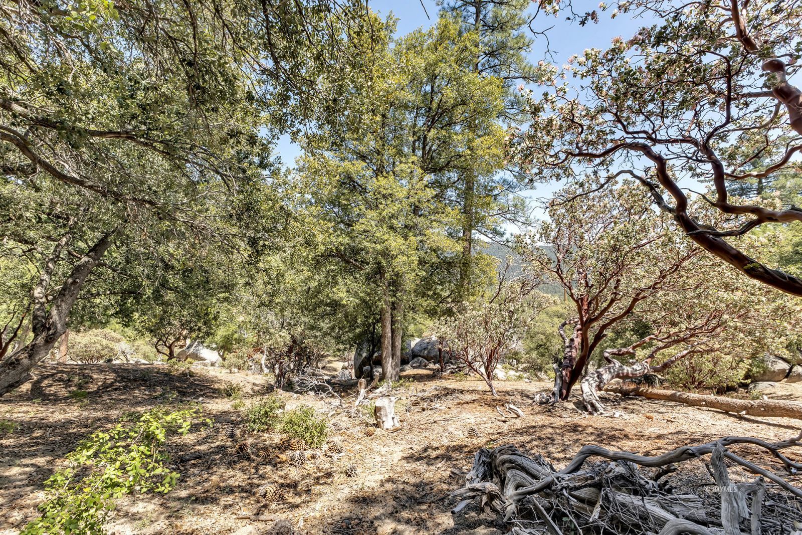 Property Photo 77