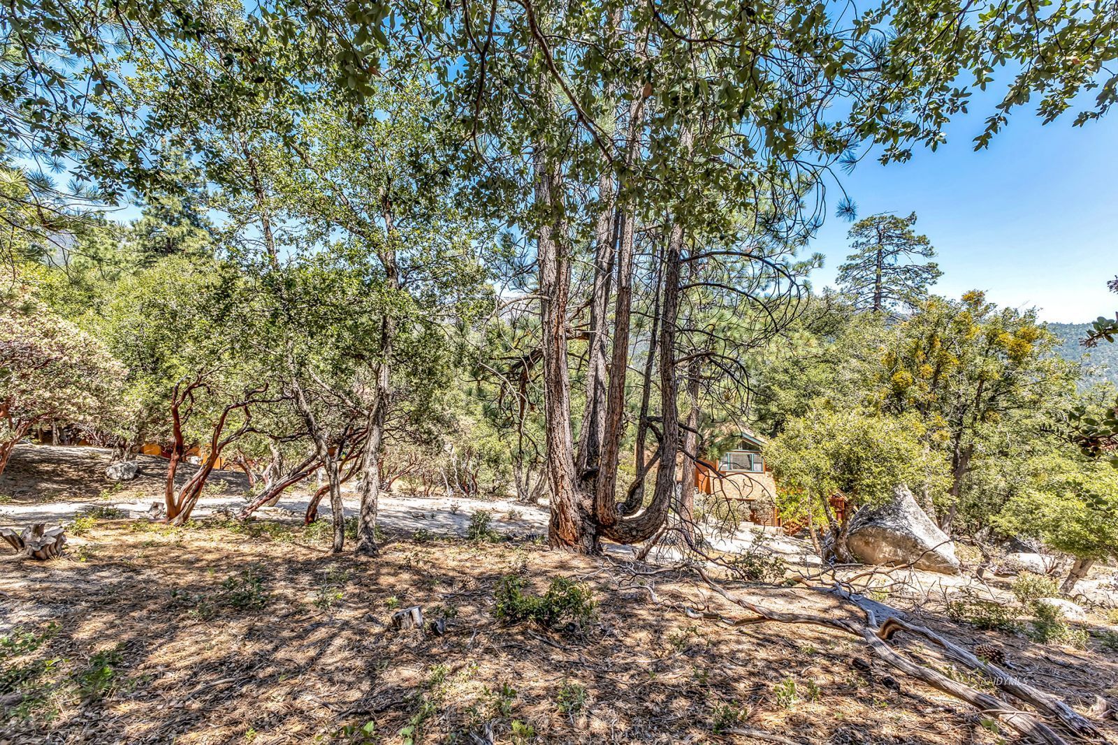 Property Photo 79