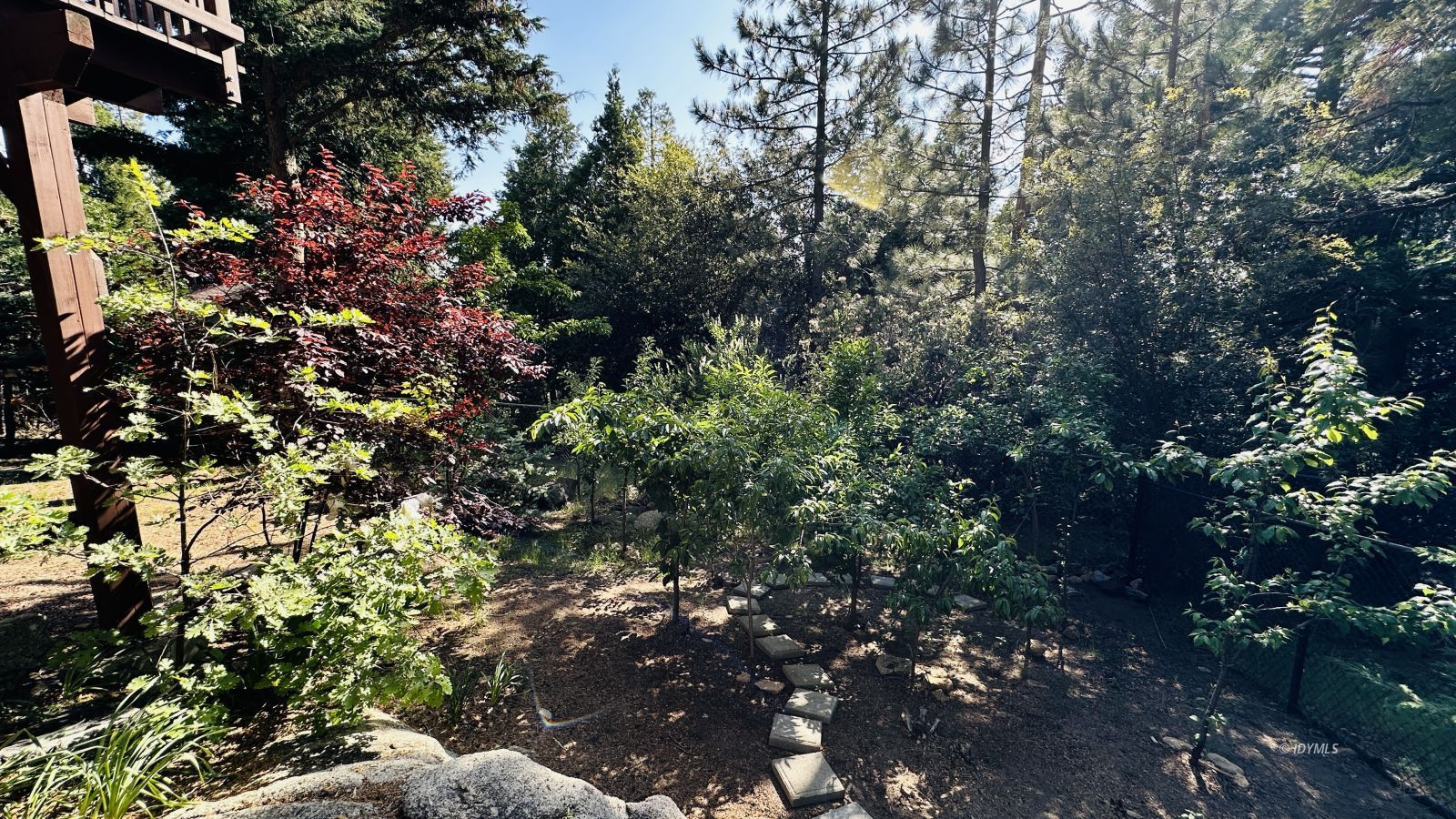 Property Photo 41