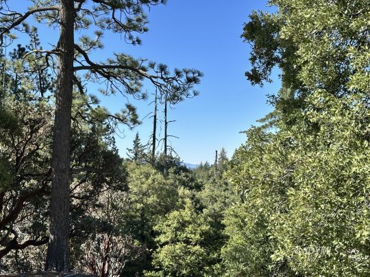 feature listing property photo