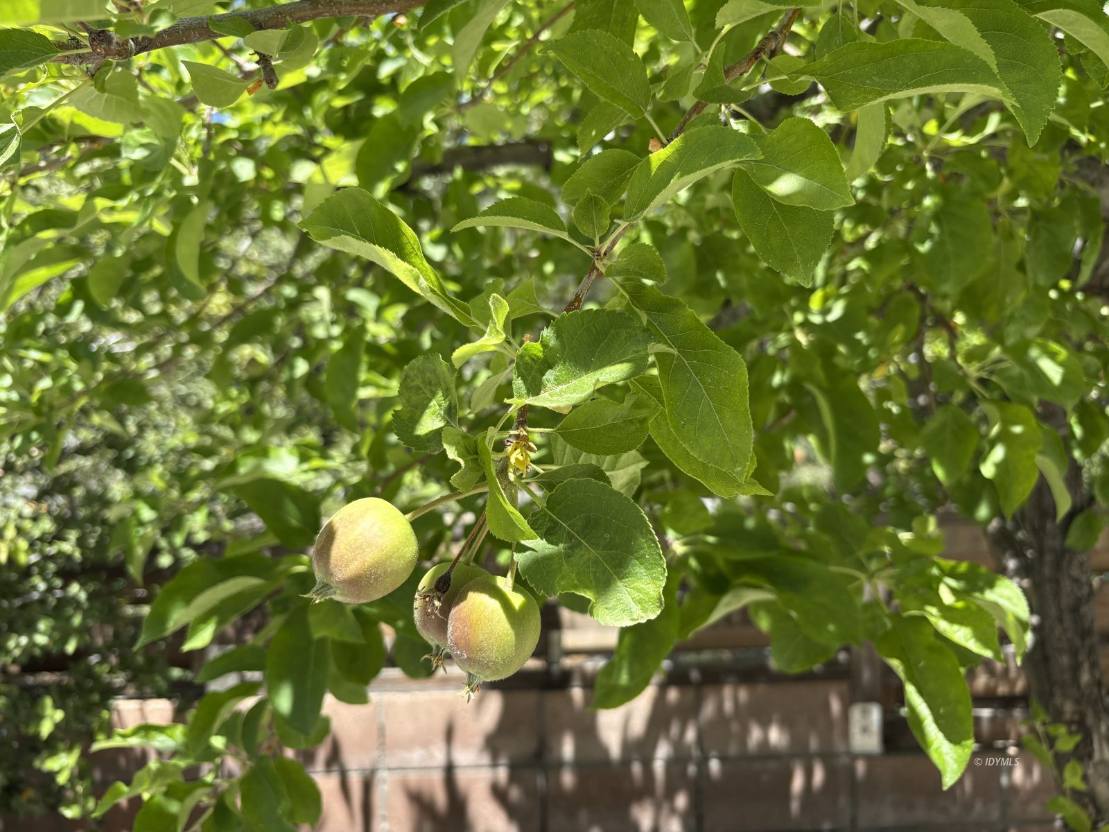 Property Photo 45