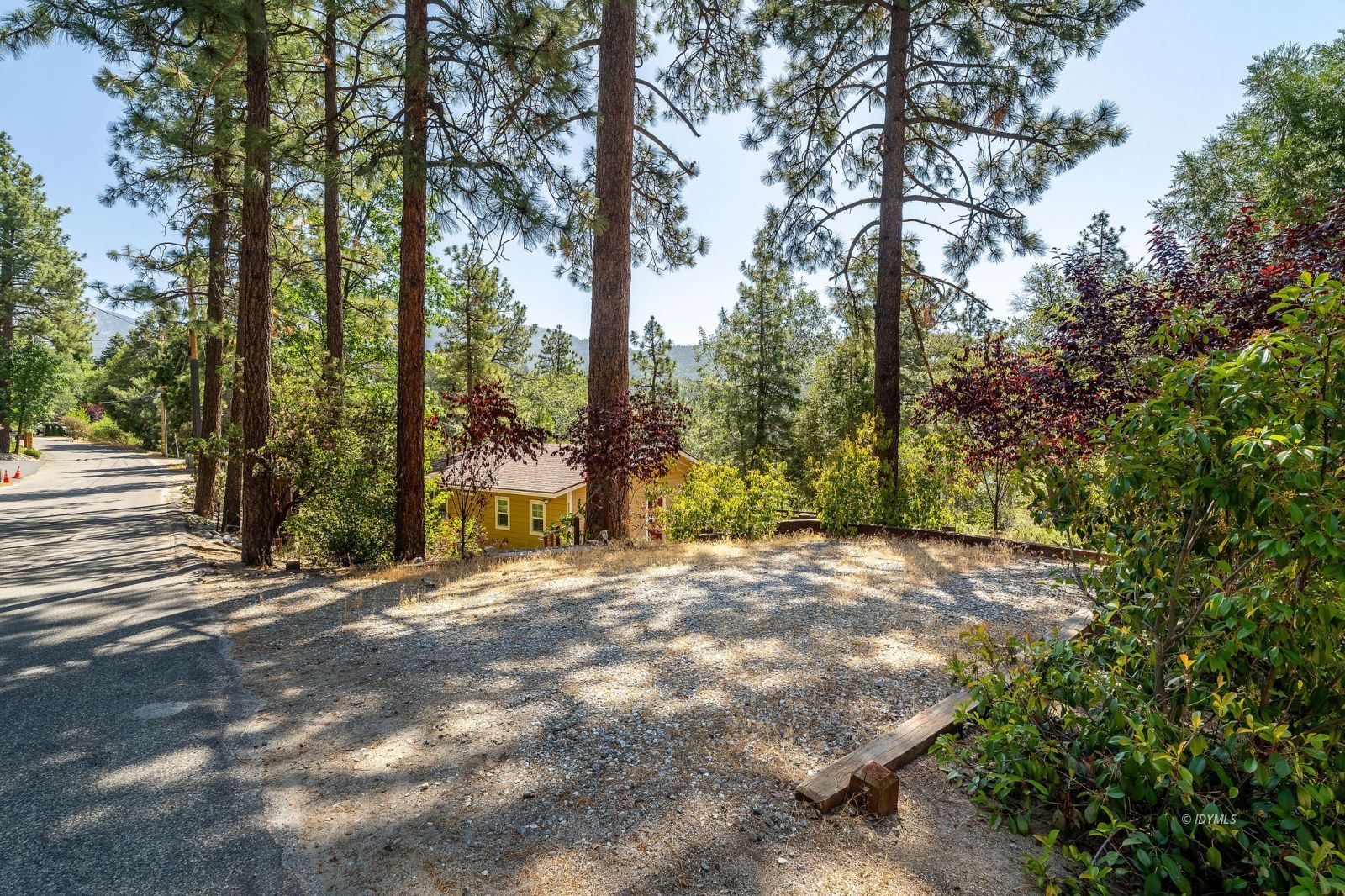 Property Photo 42