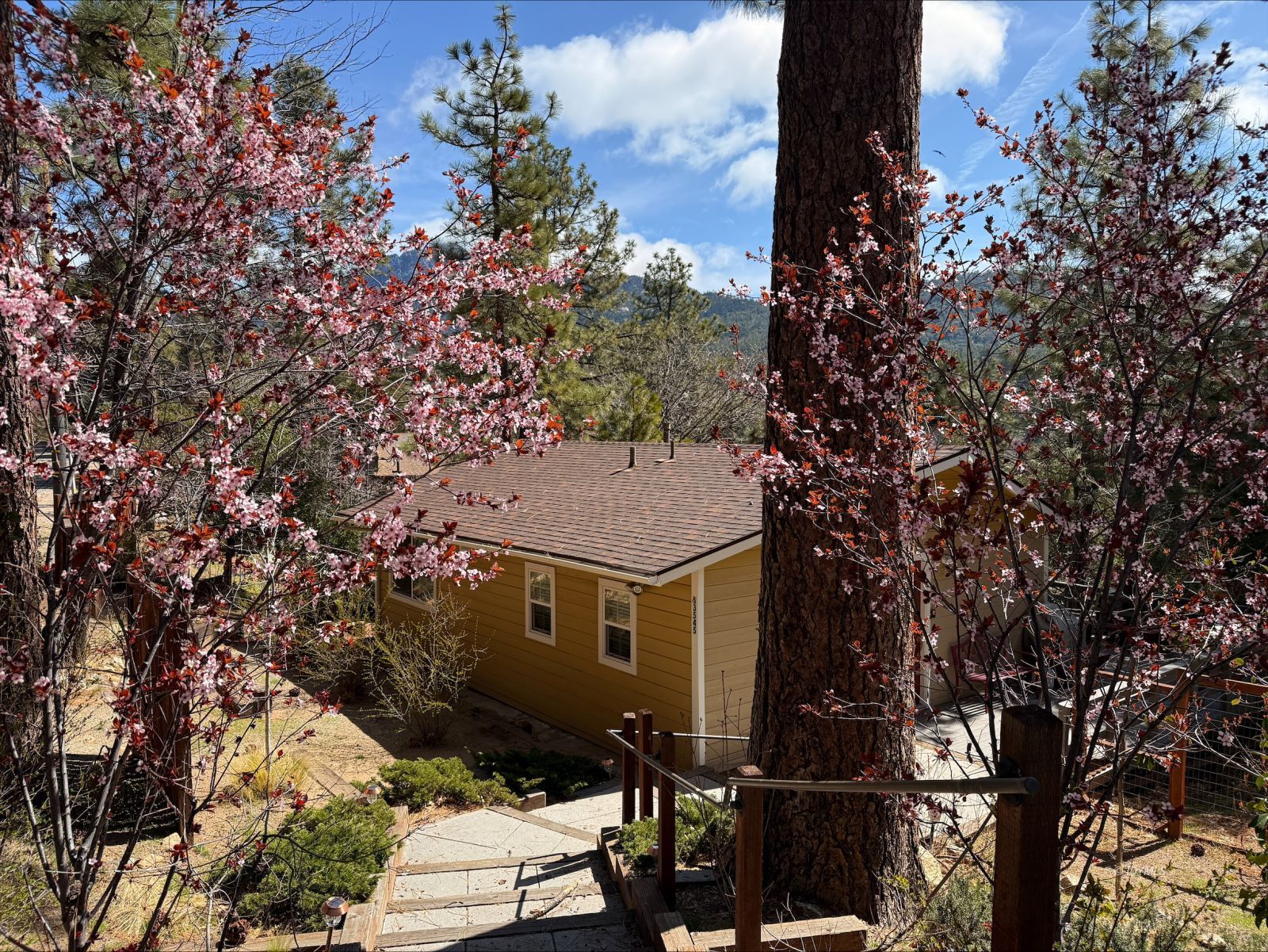 Property Photo 43