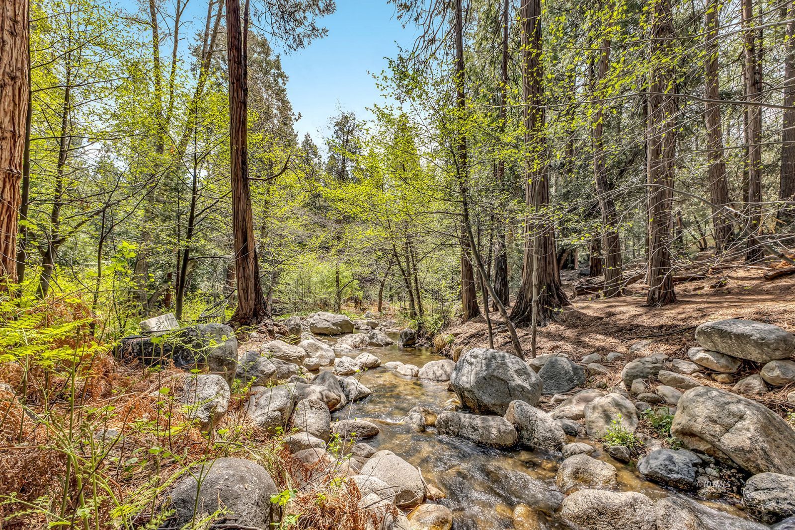 Property Photo 67