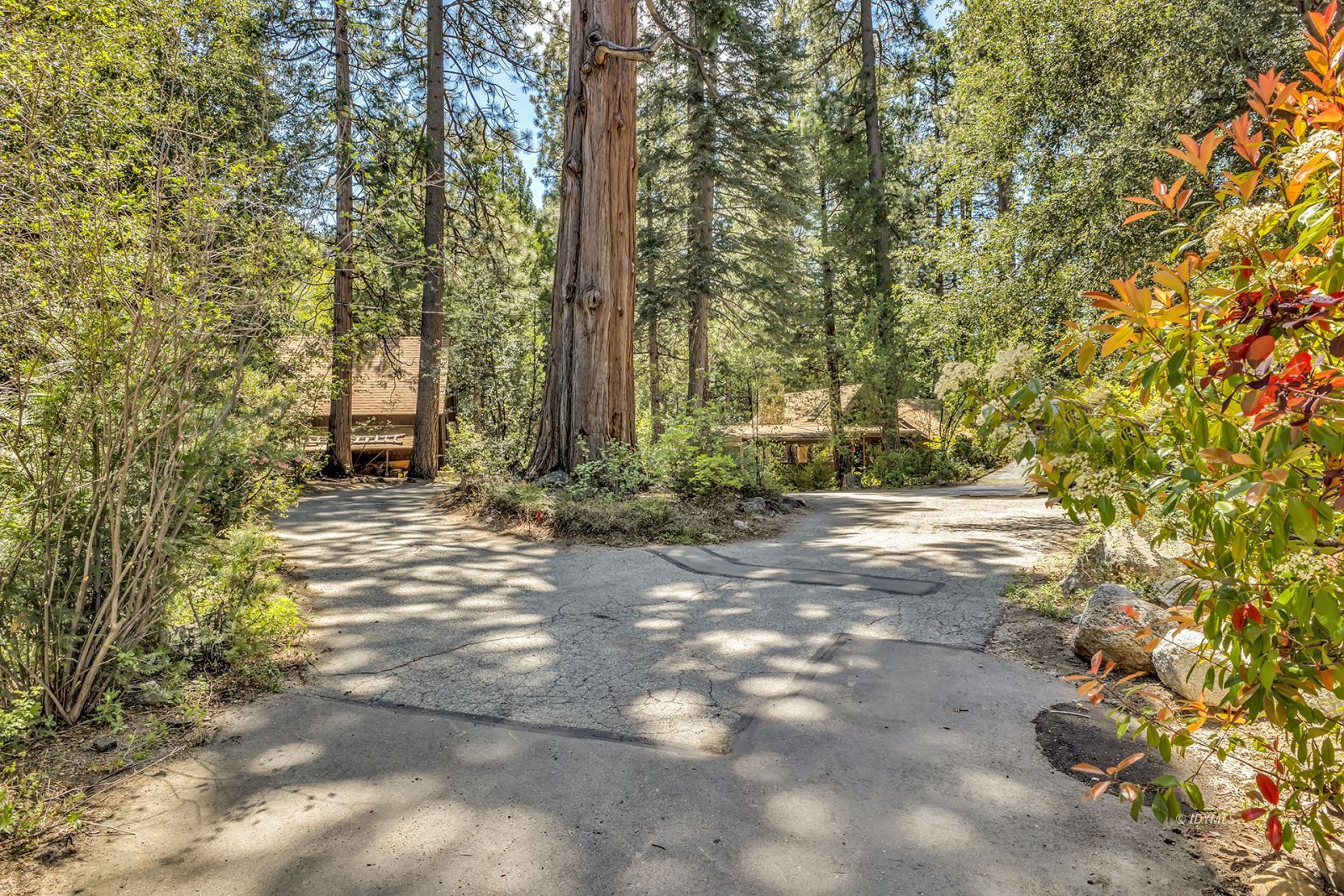 Property Photo 69