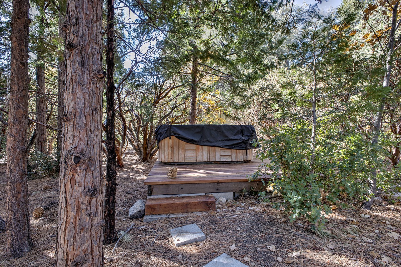 Property Photo 49