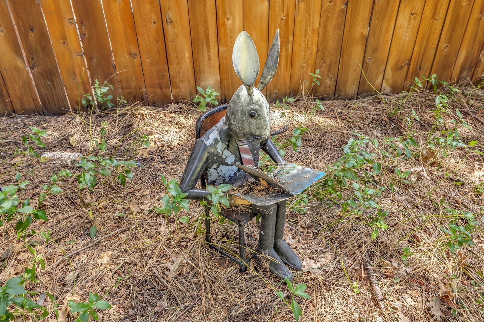 Property Photo 61