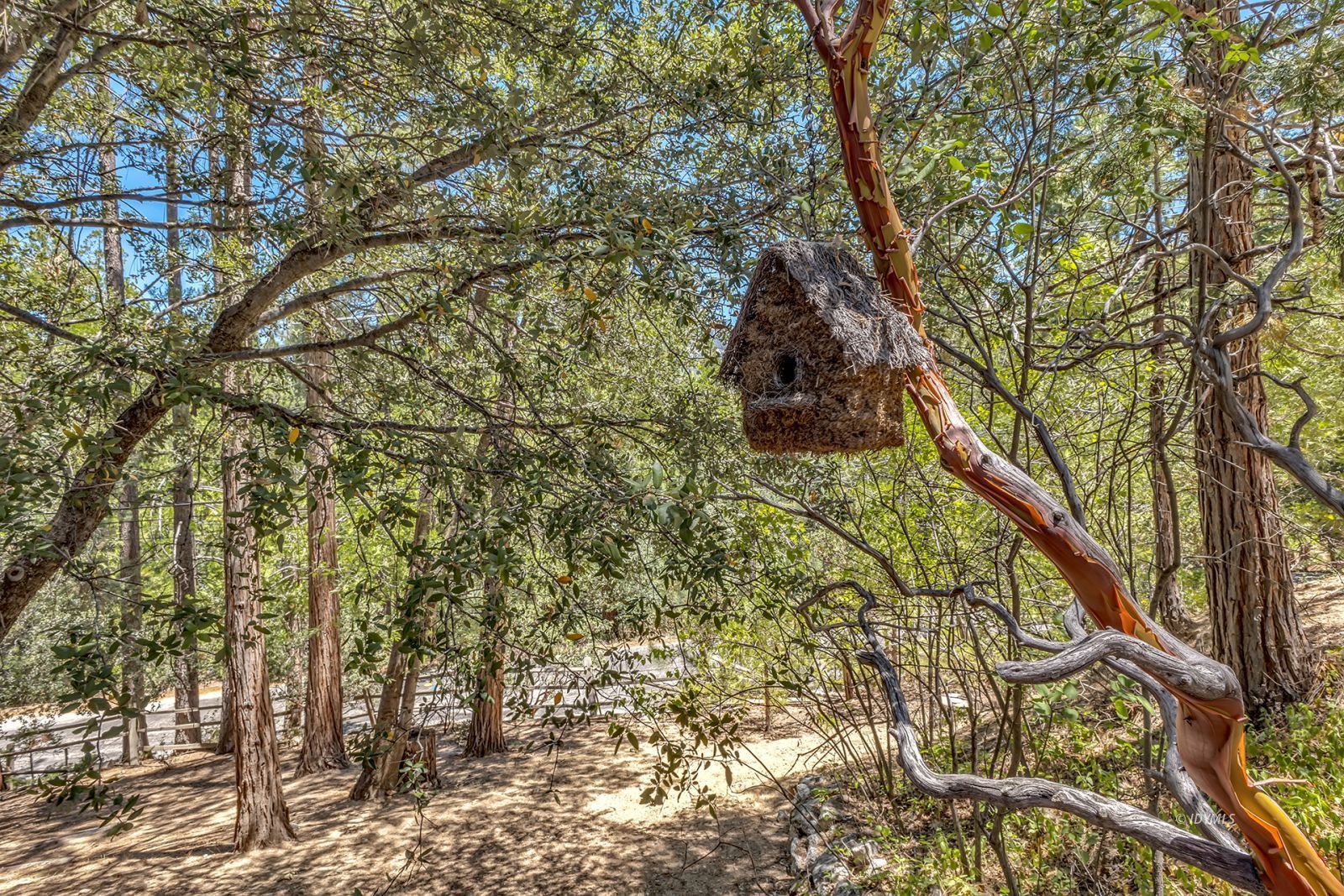Property Photo 16