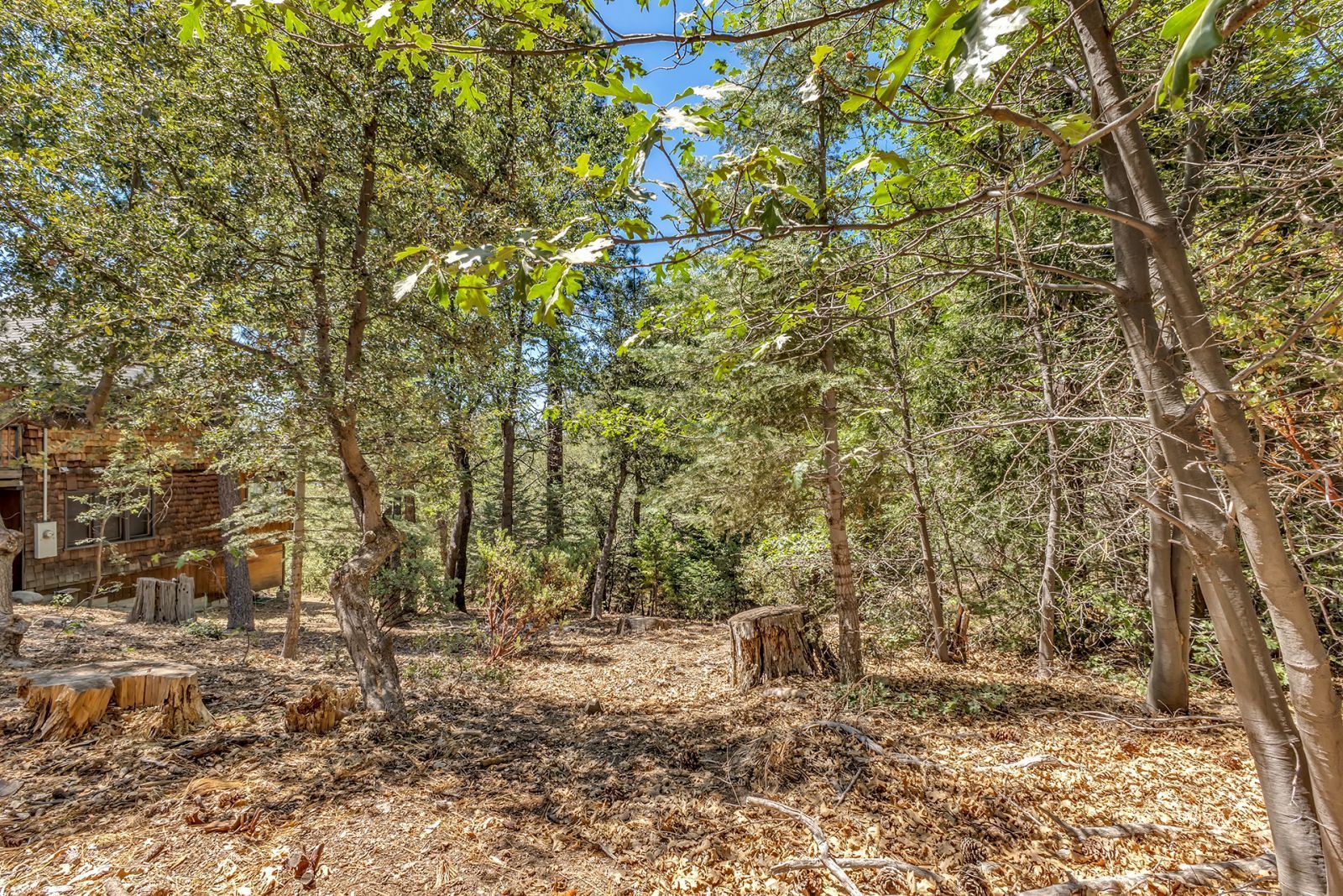 Property Photo 30