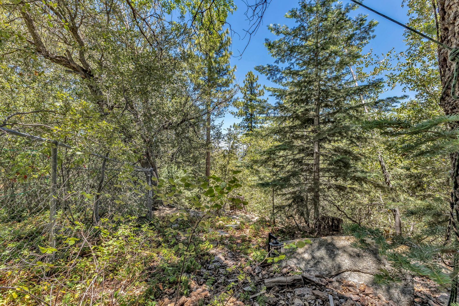 Property Photo 45