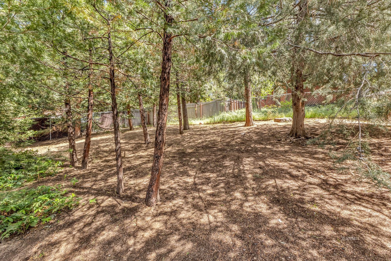 Property Photo 55