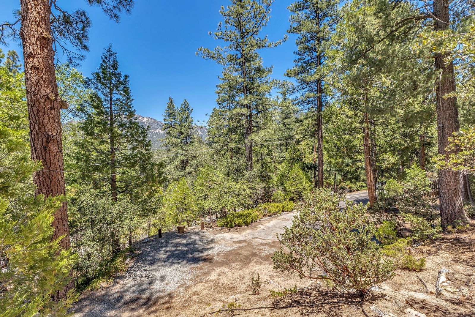 Property Photo 87