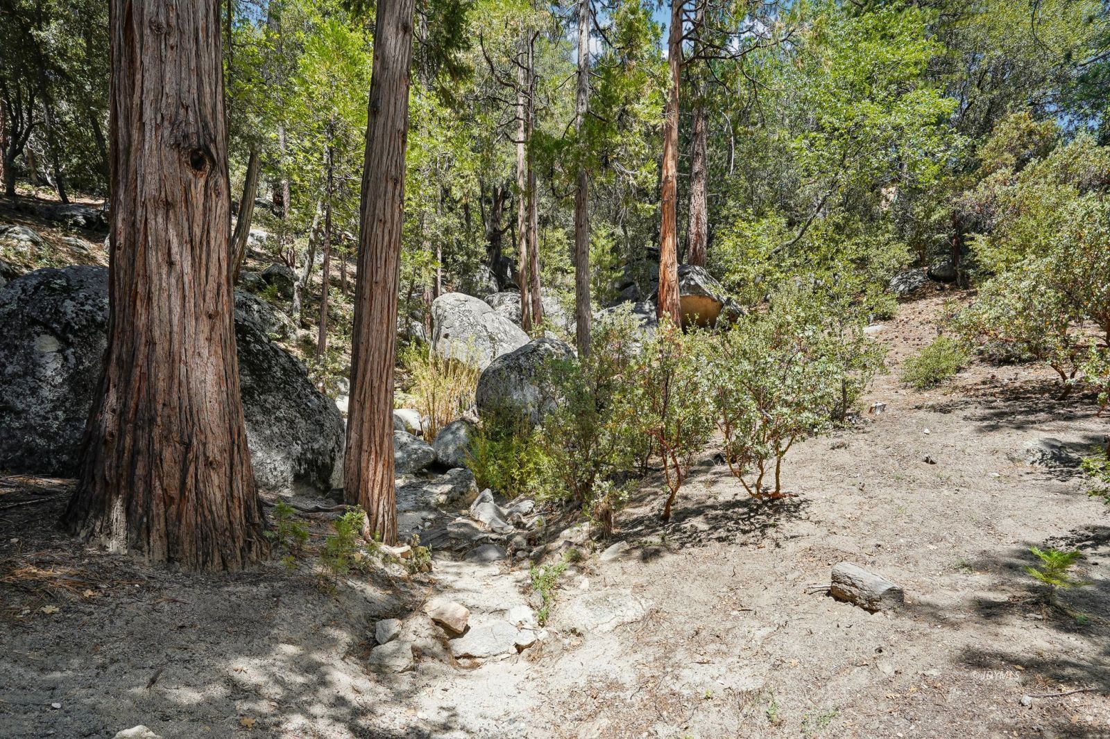 Property Photo 43