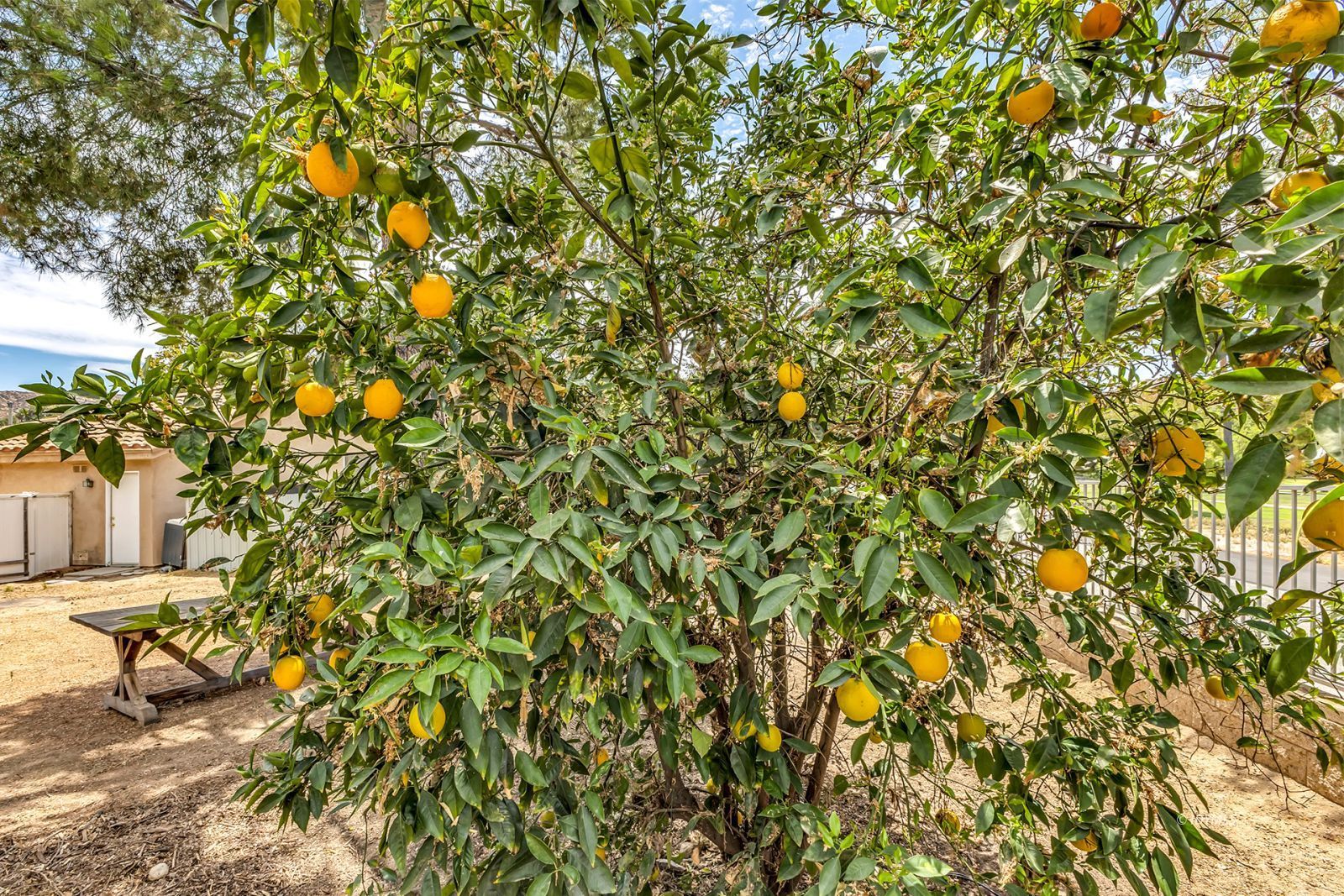 Property Photo 47