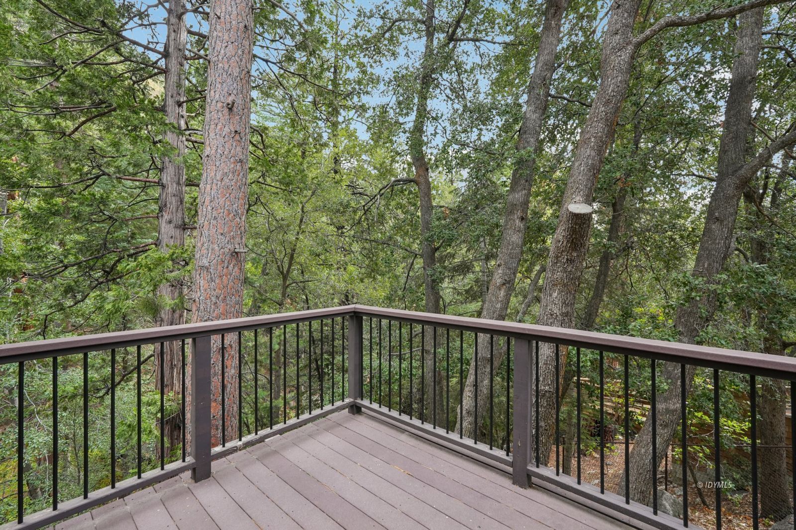 Property Photo 55