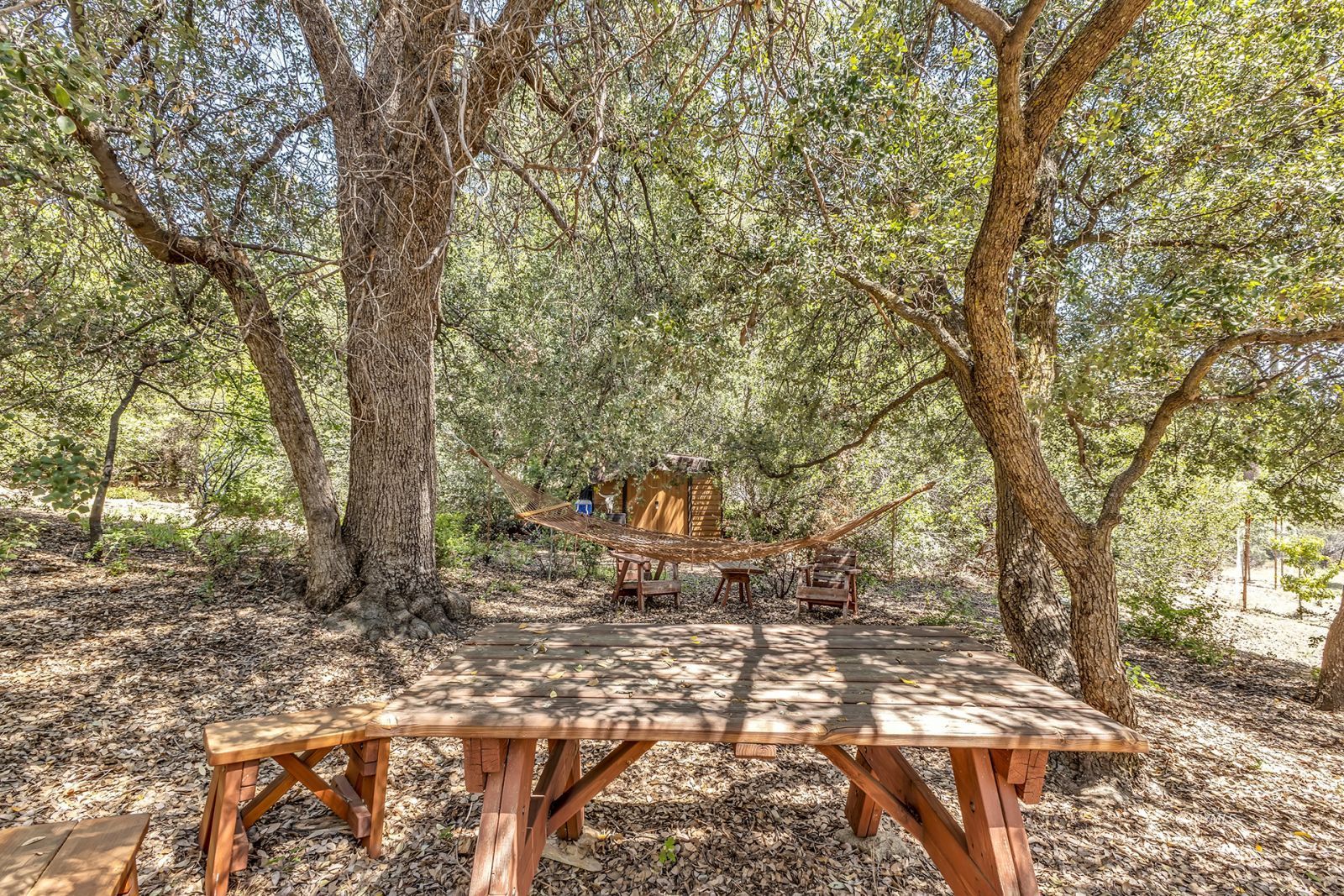 Property Photo 85