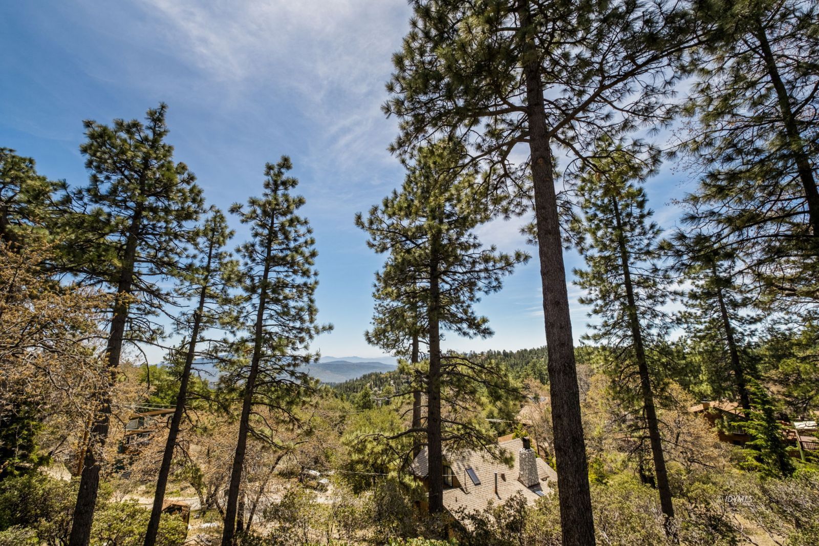Property Photo 43