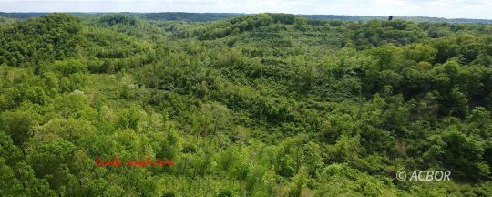 feature listing property photo