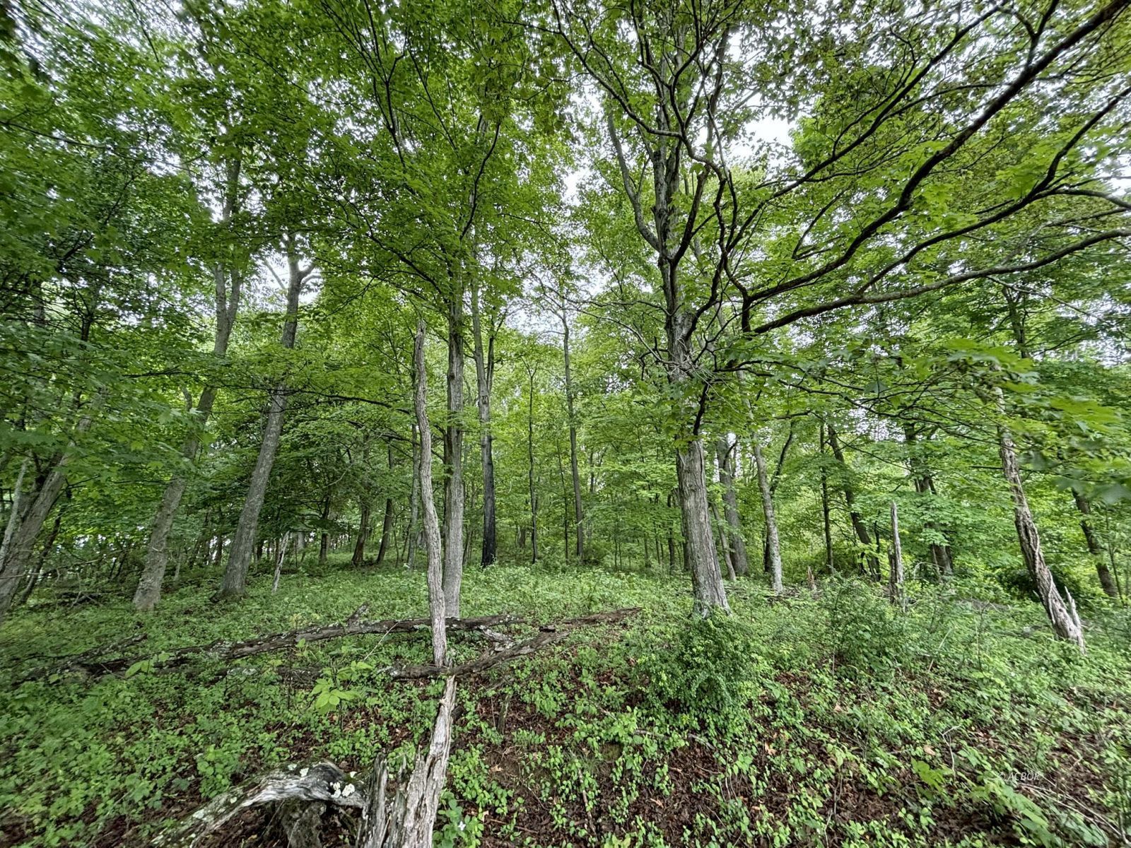 Property Photo 34