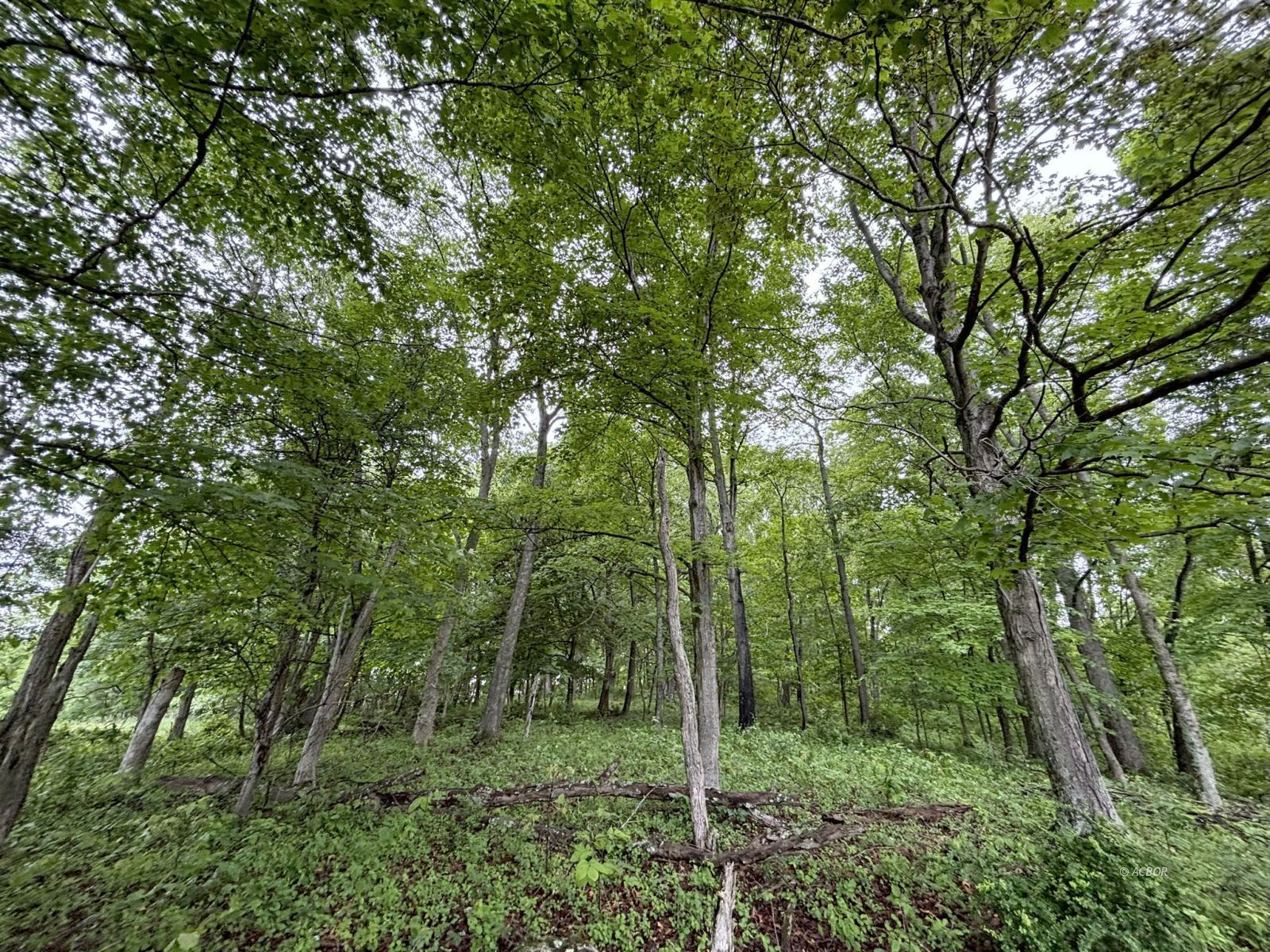 Property Photo 37