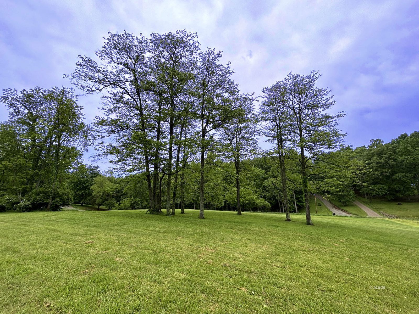 Property Photo 38