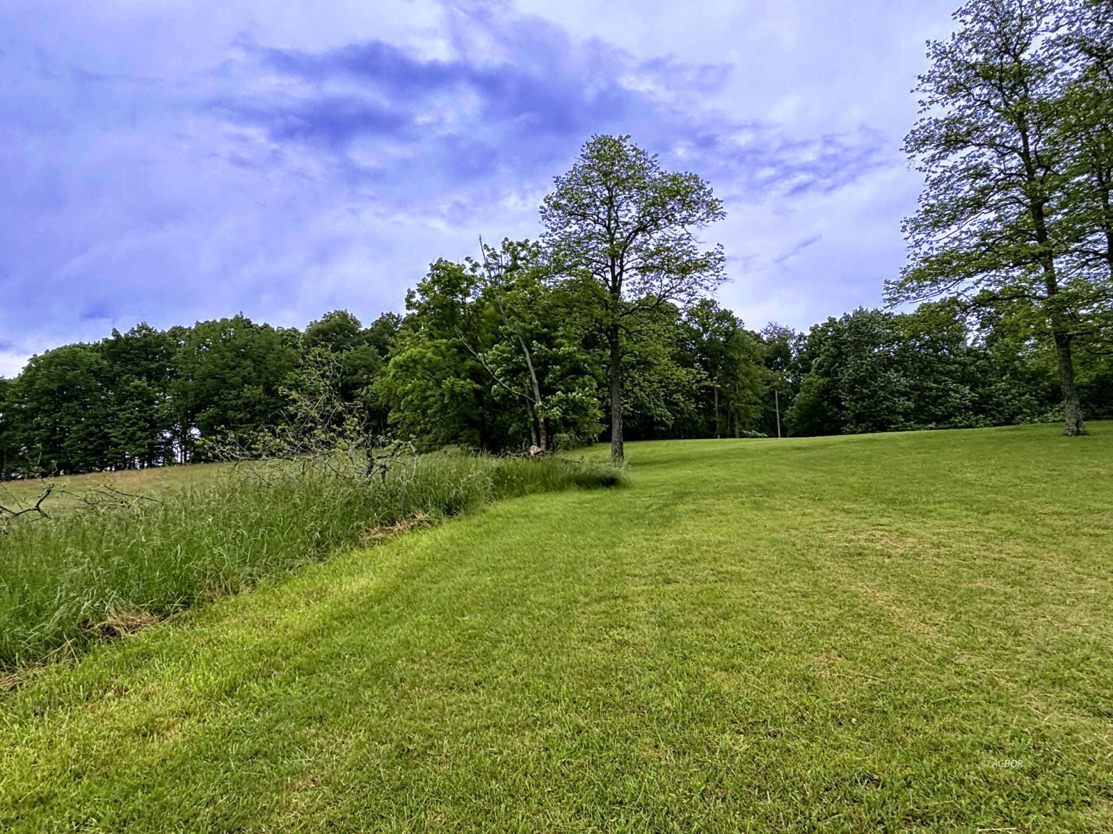 Property Photo 44