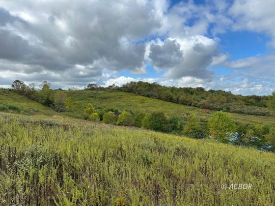 feature listing property photo