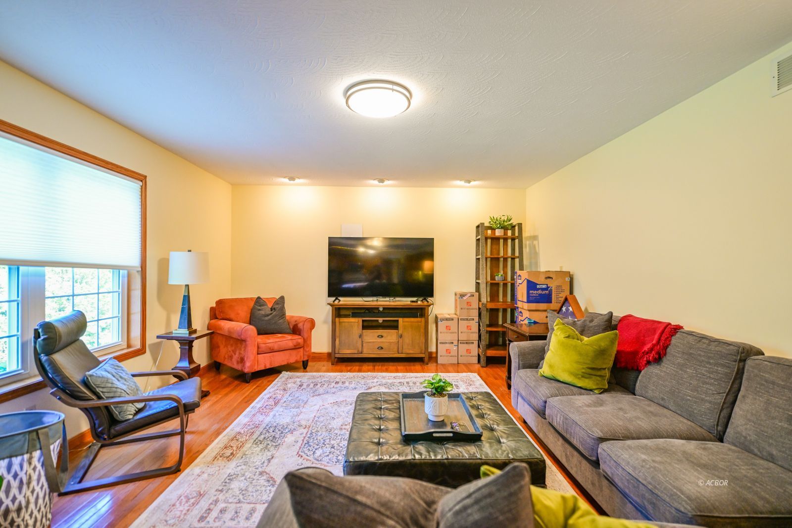 135 Lewis Pointe Dr