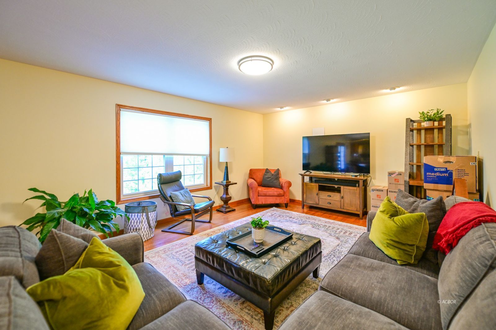 135 Lewis Pointe Dr