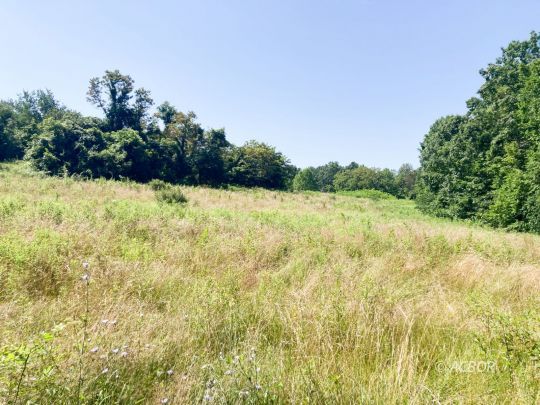 feature listing property photo