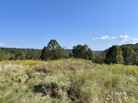 feature listing property photo