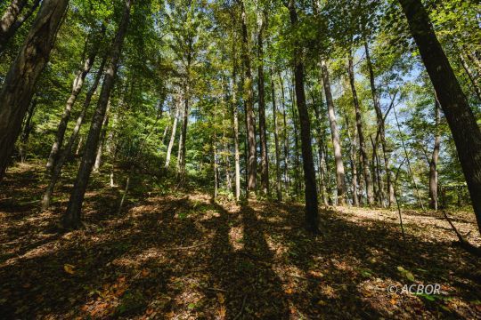 feature listing property photo