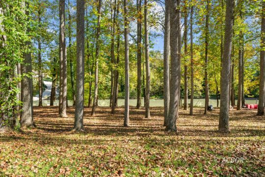 feature listing property photo