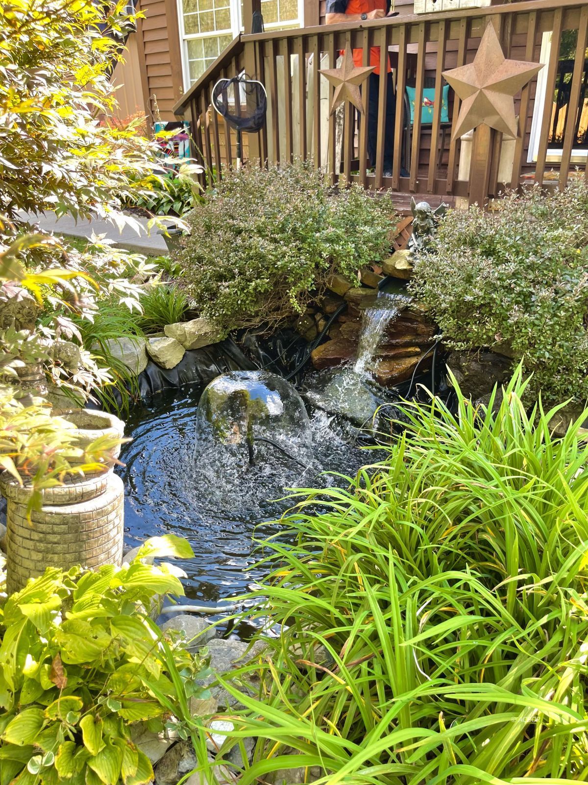 Water Features: Fall & Fountain