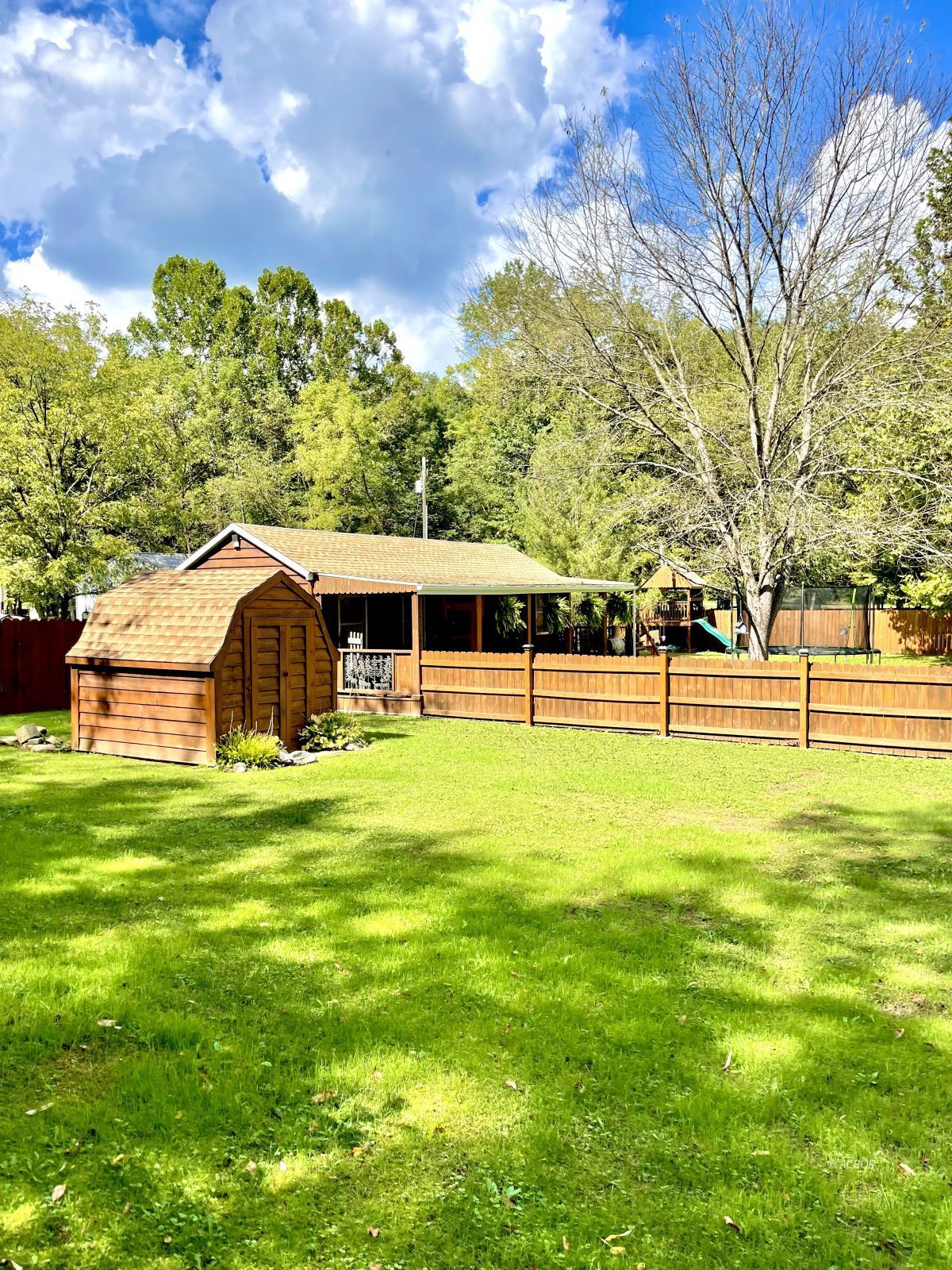 Back yard