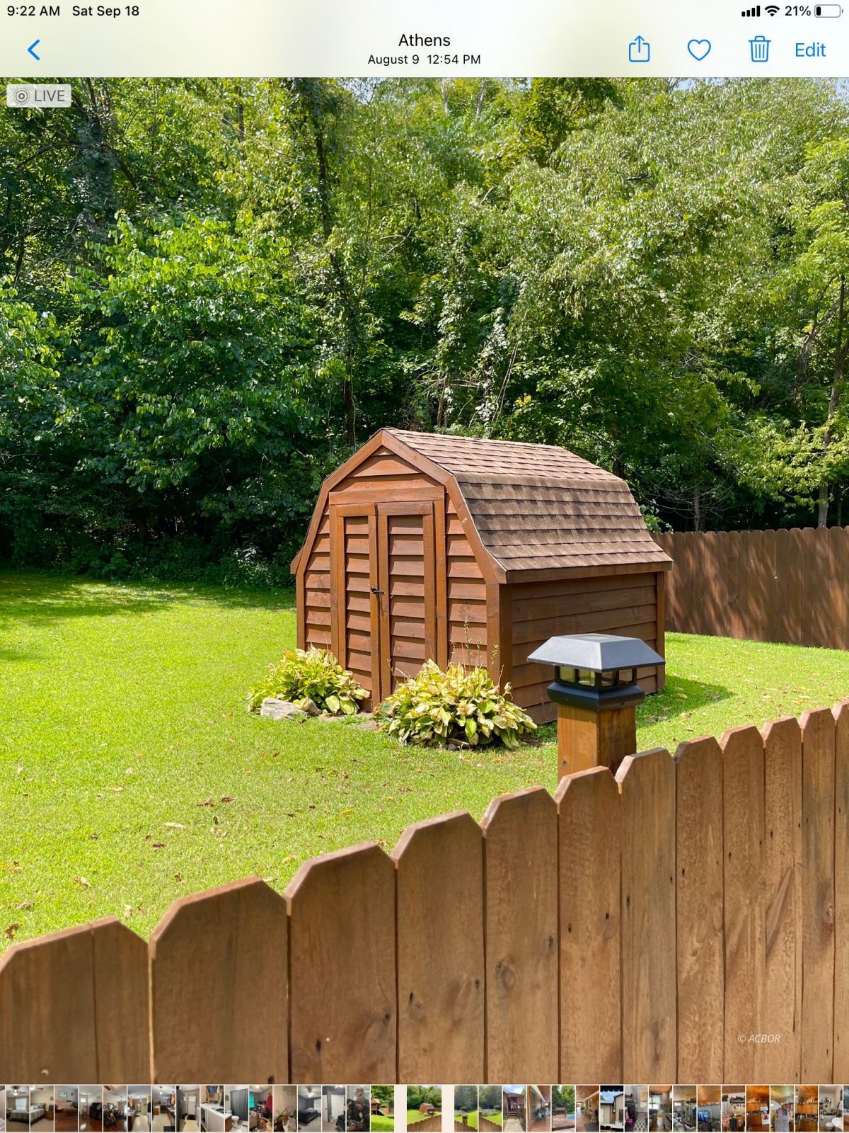Storage Shed in Back Yard