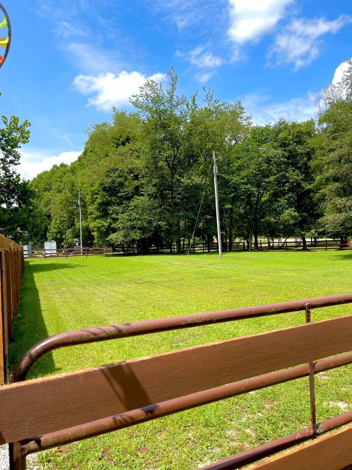 Front Pasture/Yard