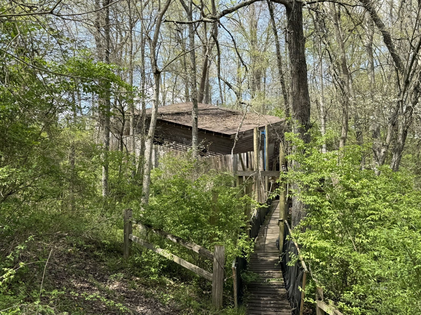 15155 Sauerkraut Rd
