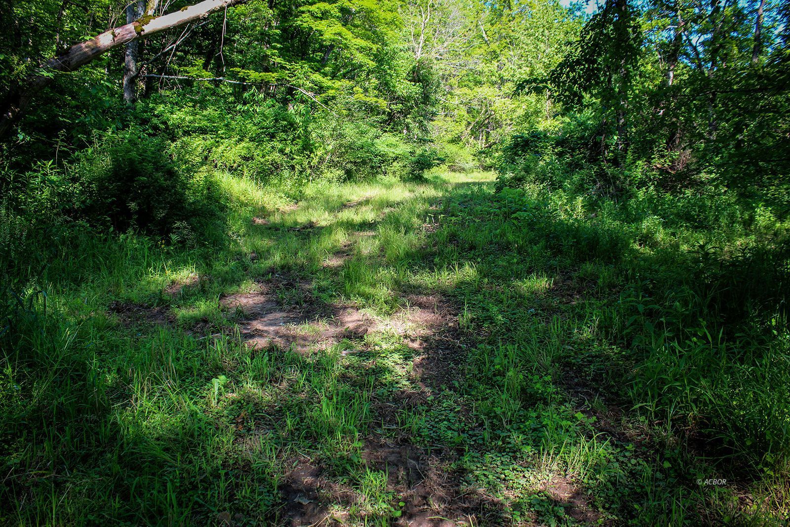 Property Photo 25