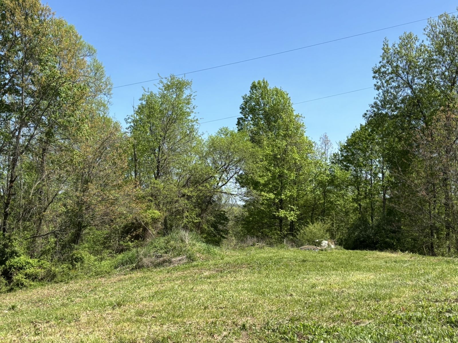 Twist Tail Rd