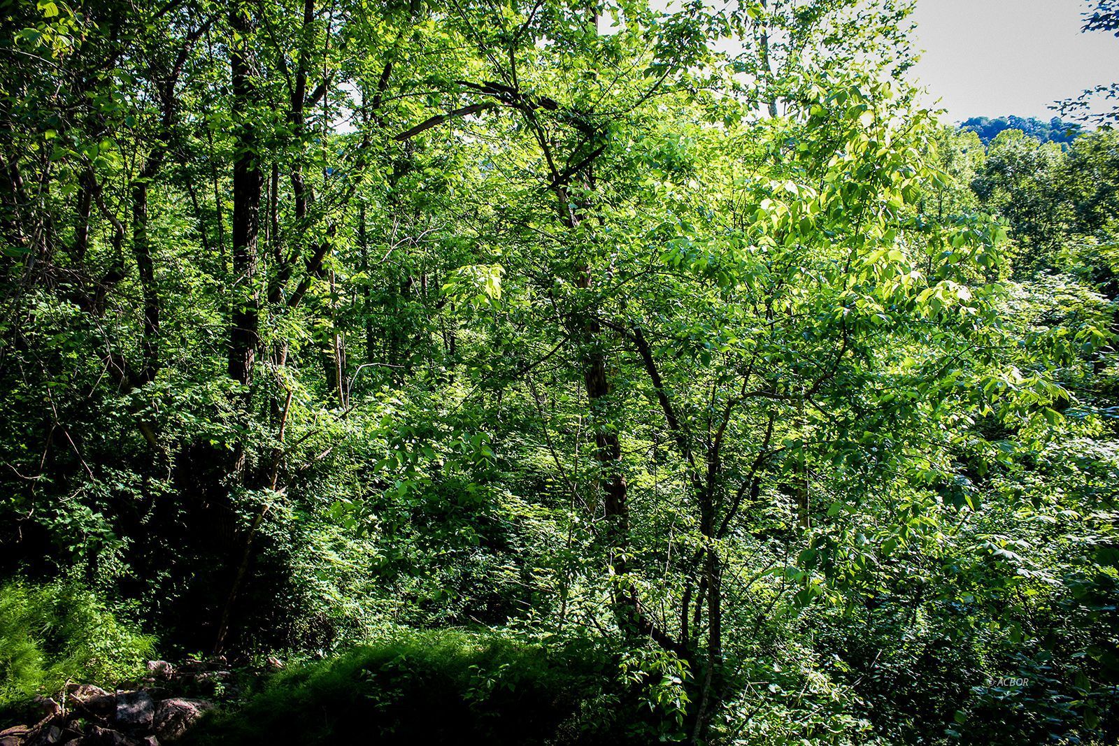 Property Photo 27
