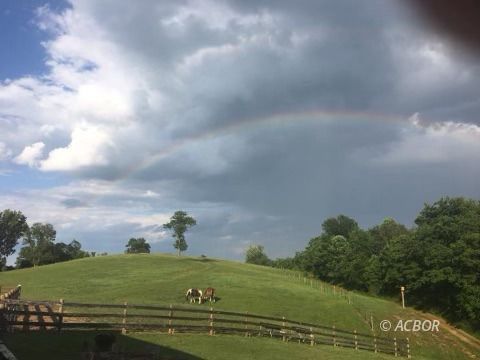 Rainbow