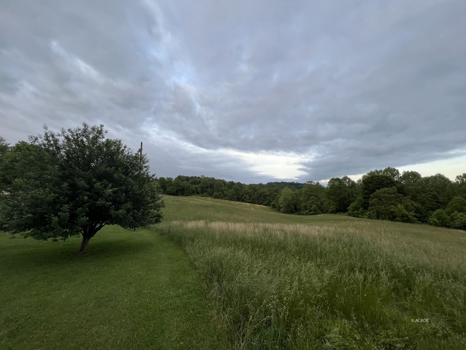 Wooded in distance pasture homesite