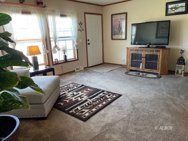 Living Room 3
