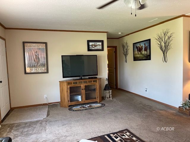 Living Room 2