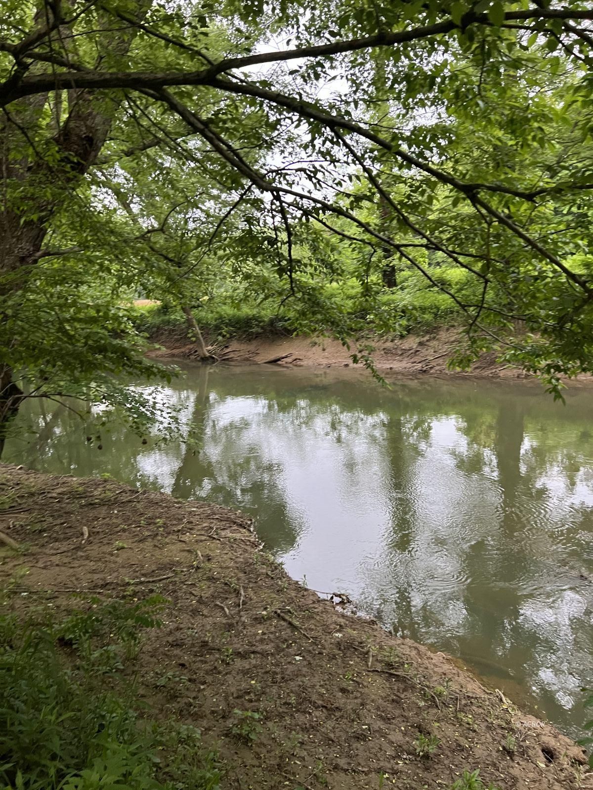 Canoe, kayak, fish, swim