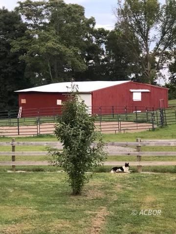 Barn with Sophie