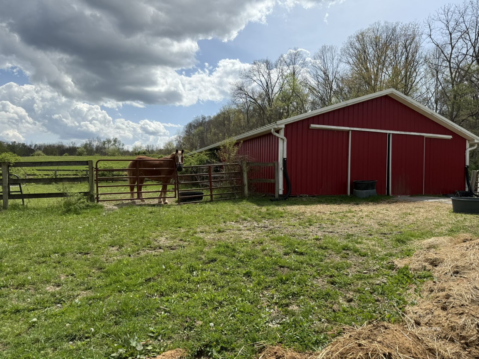 15155 Sauerkraut Rd