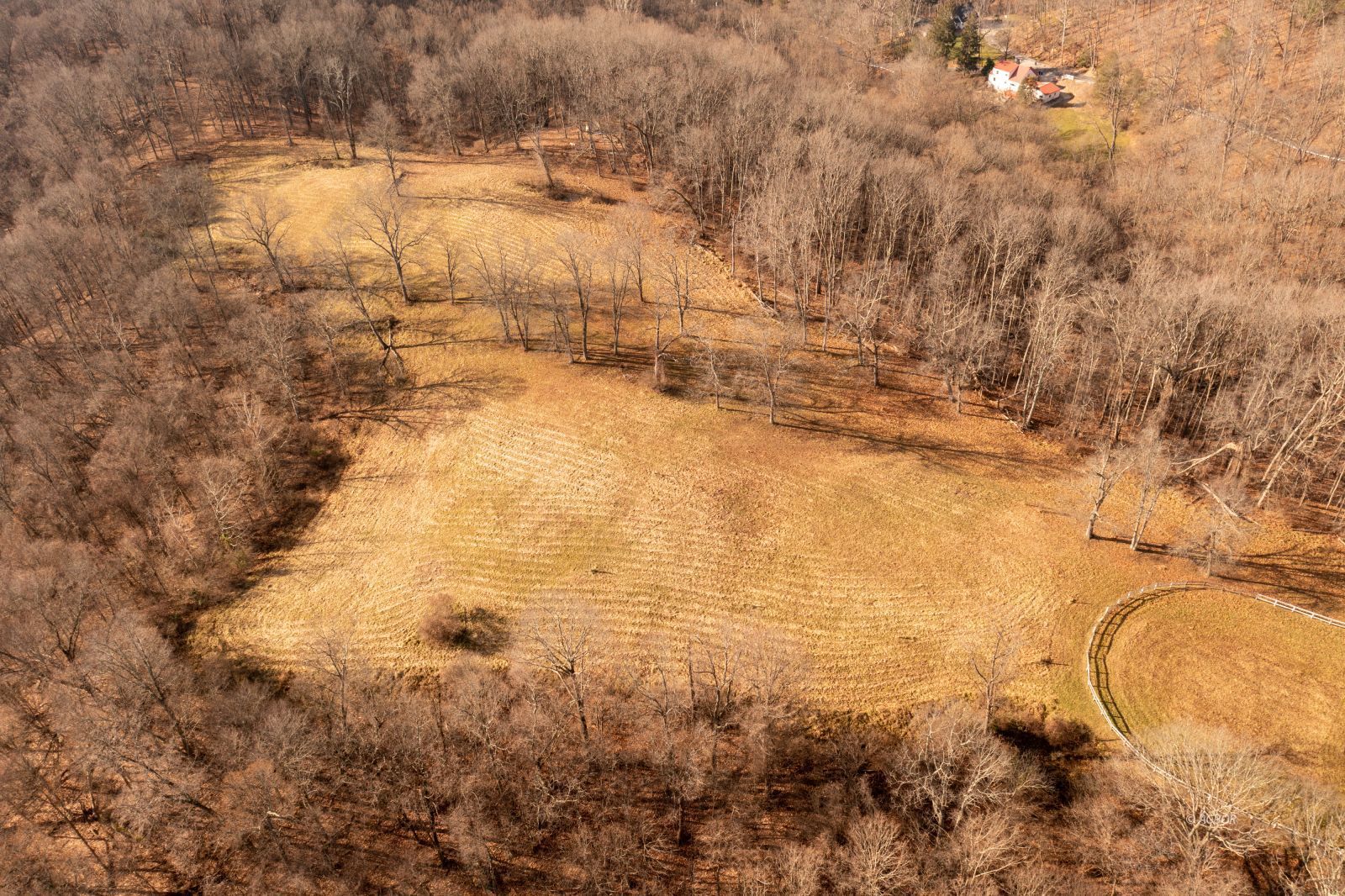 Pastures on property