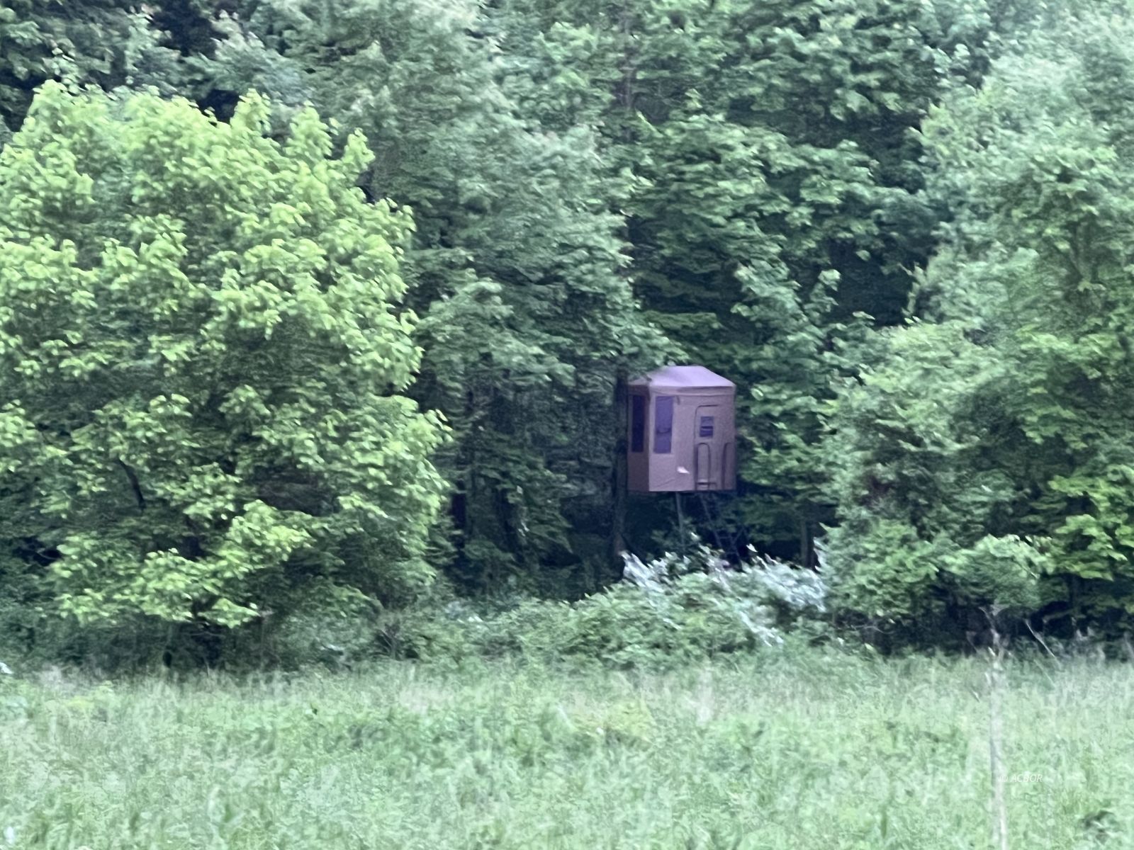 Tree stand